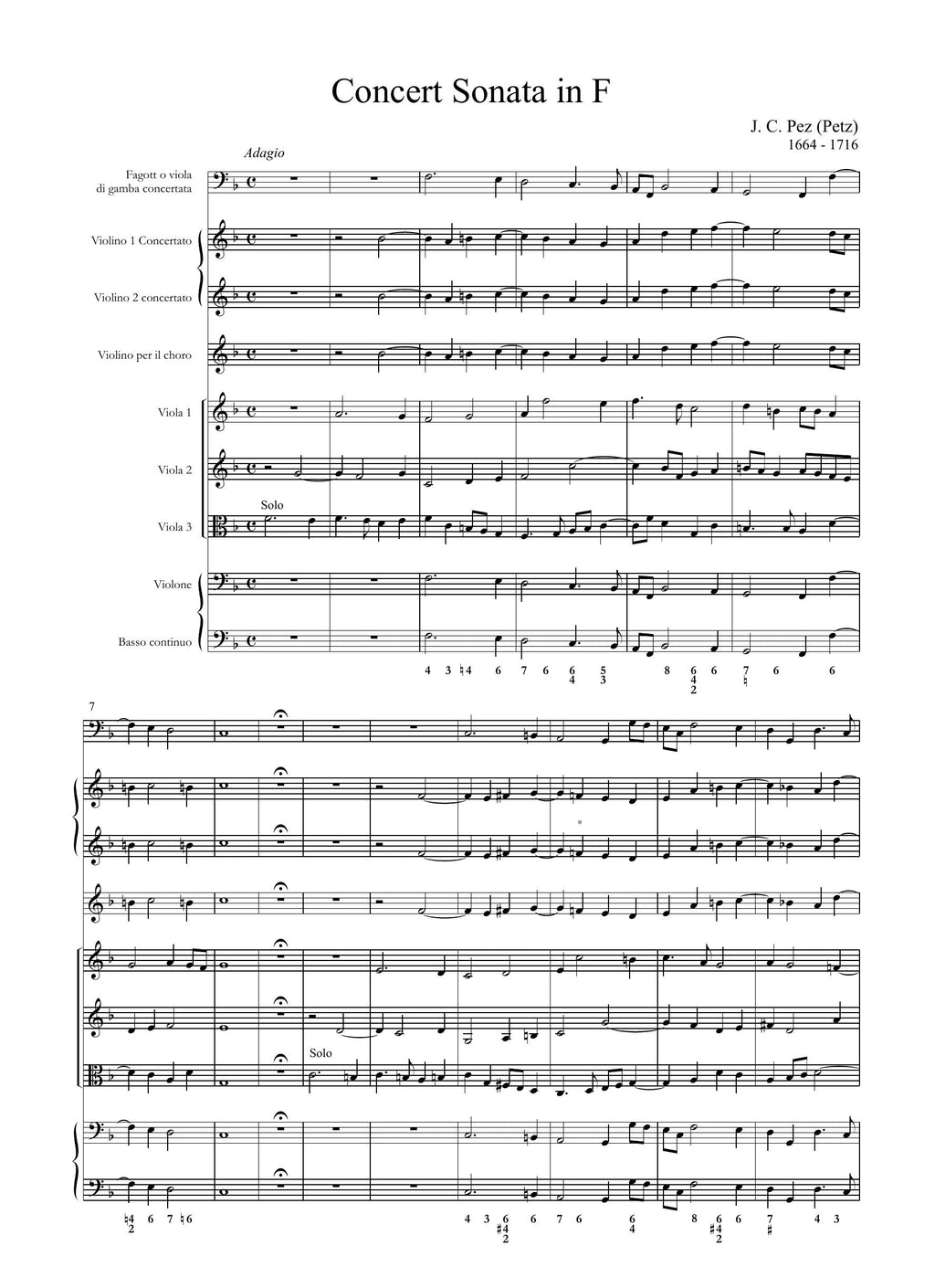 J.C. Petz: Concert-Sonata in fa maggiore