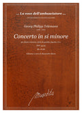 G.Ph. Telemann: Concerto in si minore TWV 43:h3